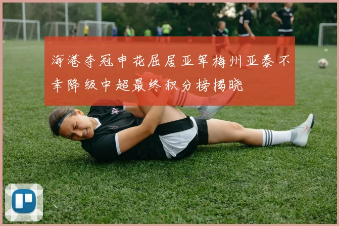 海港夺冠申花屈居亚军梅州亚泰不幸降级中超最终积分榜揭晓