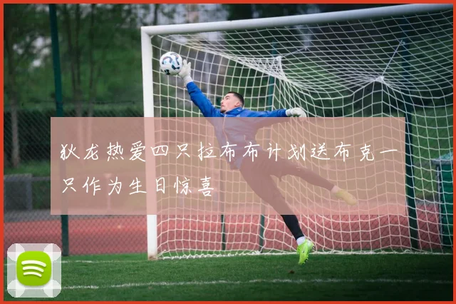 狄龙热爱四只拉布布计划送布克一只作为生日惊喜