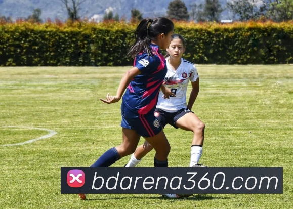 半岛体育APP 高清赛事图